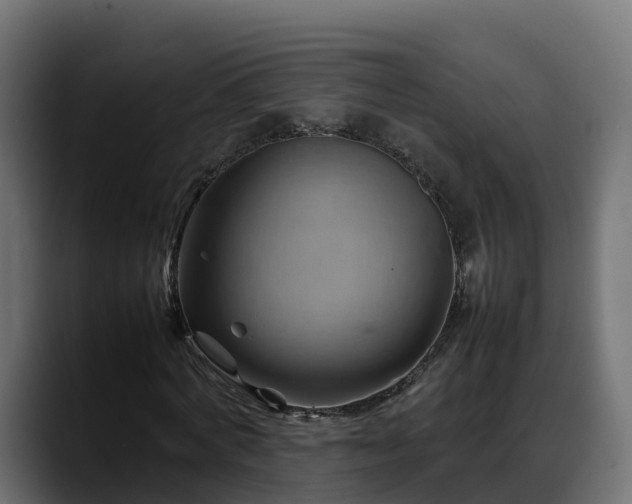 X0000088370772200705291327