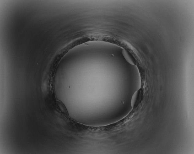 X0000088370775200705291327