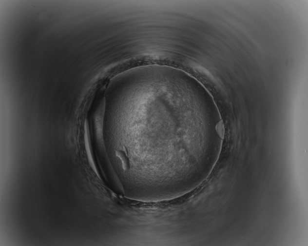 X0000088370776200705291327