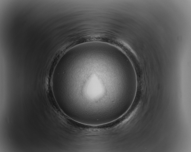 X0000088370777200705291327