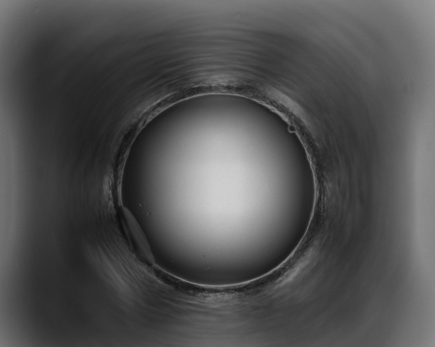 X0000088370778200705291327