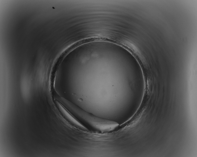 X0000088370780200705291326