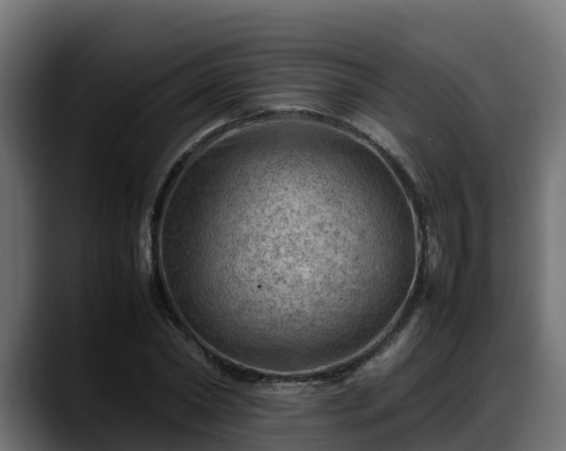 X0000088370782200705291326