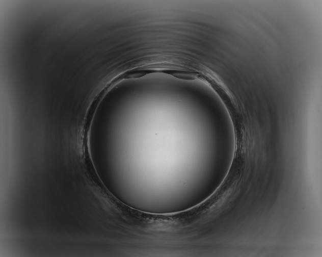 X0000088370786200705291326