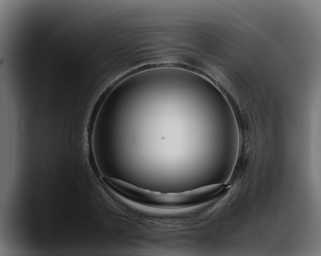 X0000088370789200705291326
