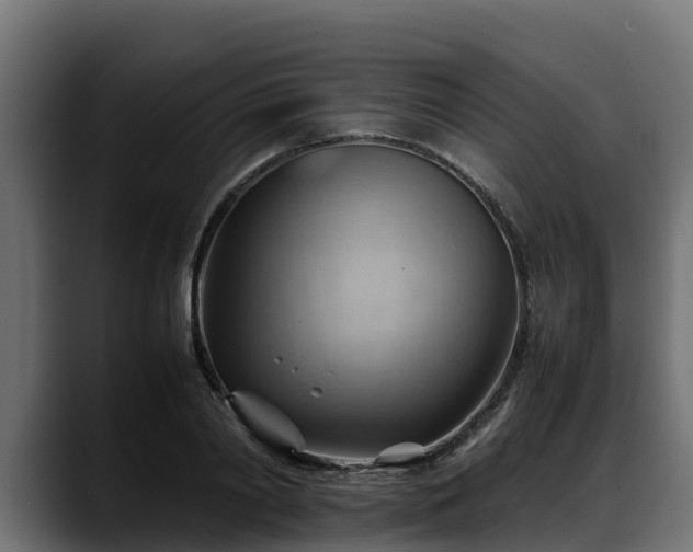 X0000088370790200705291326