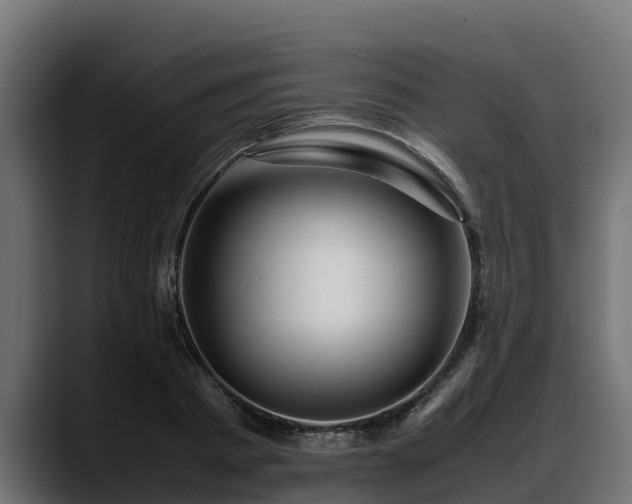 X0000088370793200705291326