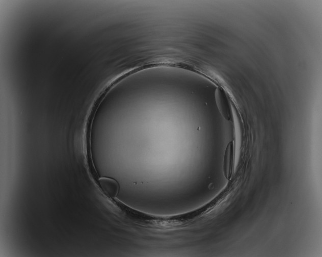 X0000088370795200705291326