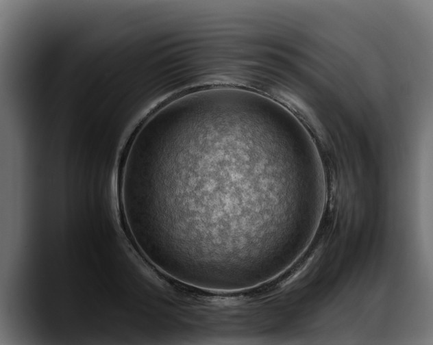 X0000088370796200705291326