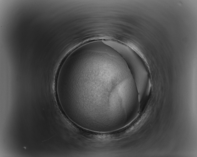 X0000088370797200705291326