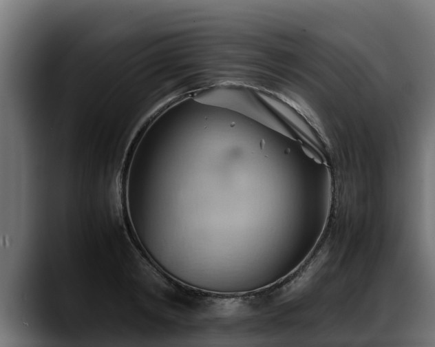 X0000088370798200705291326