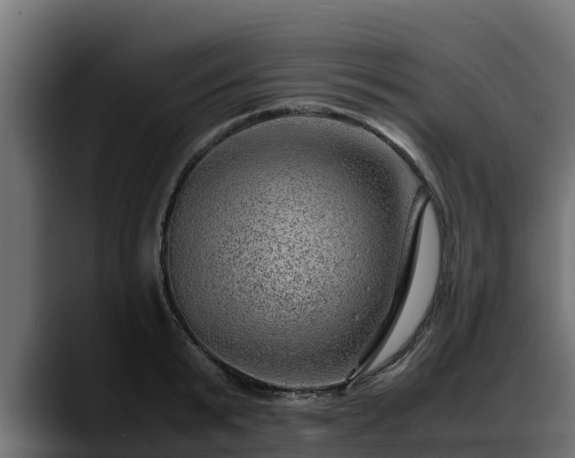 X0000088370799200705291326