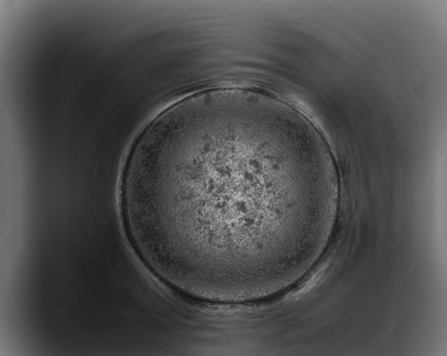 X0000088370803200705291326