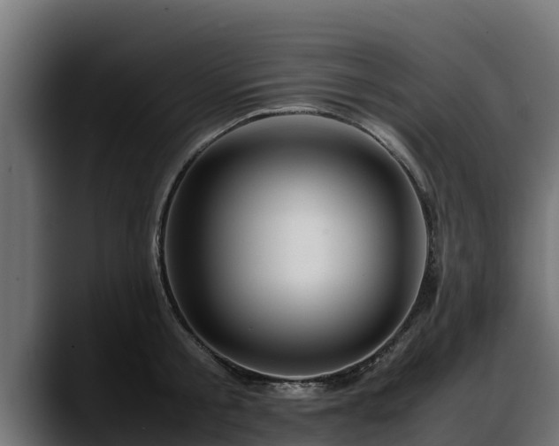X0000088370805200705291326