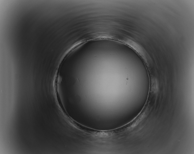X0000088370806200705291326