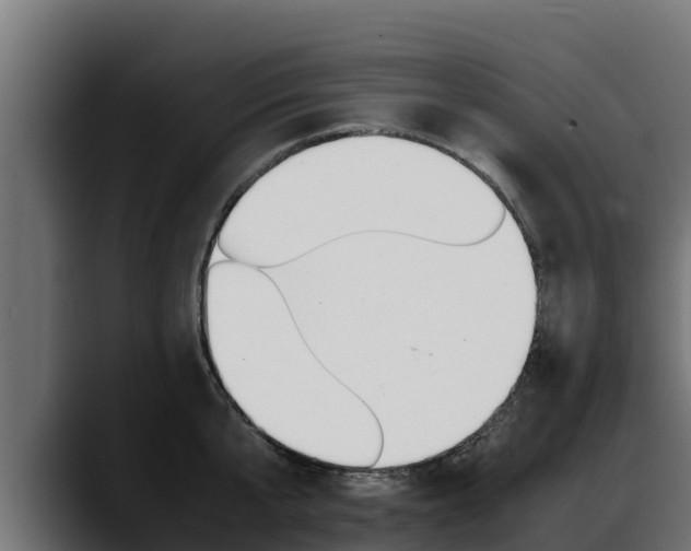 X0000088370807200705291326