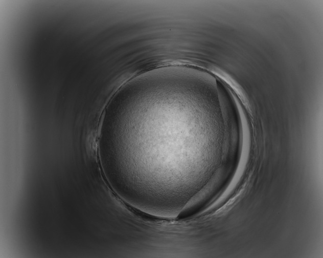 X0000088370809200705291326