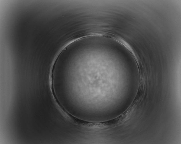 X0000088370811200705291326