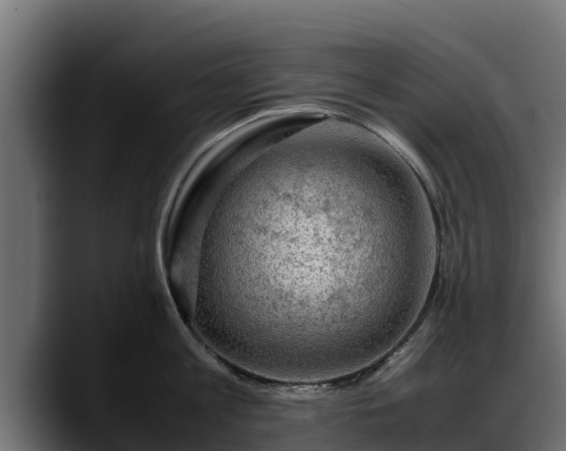 X0000088370813200705291326
