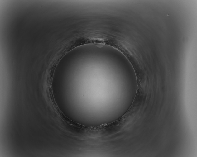 X0000088370817200705291325