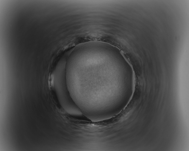 X0000088370818200705291325