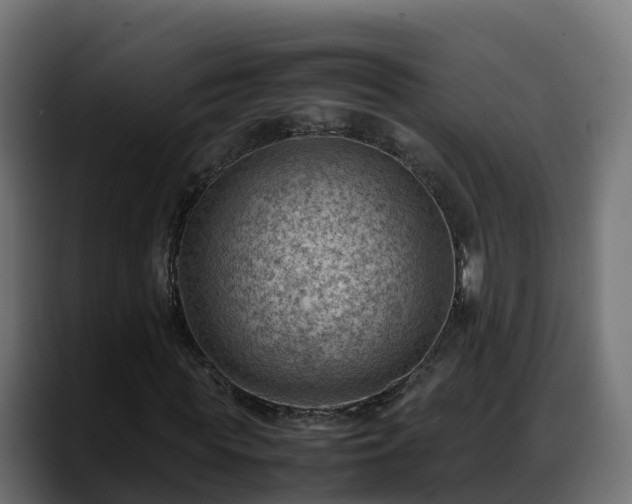 X0000088370819200705291325