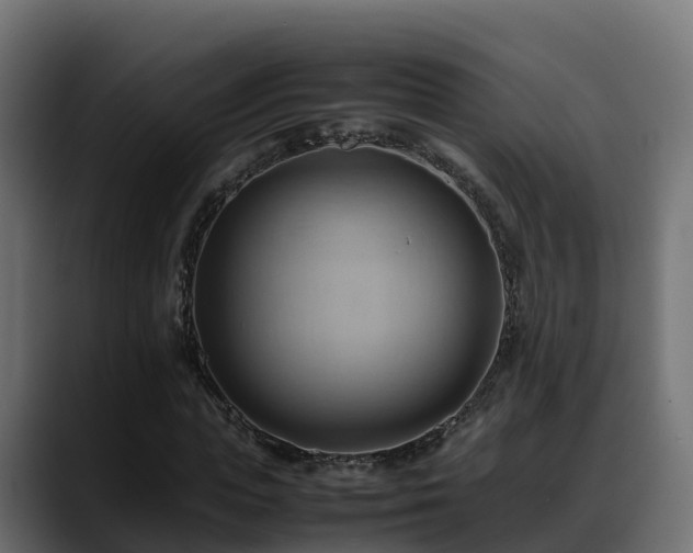 X0000088370823200705291325