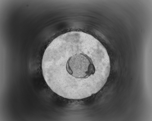 X0000088370824200705291325