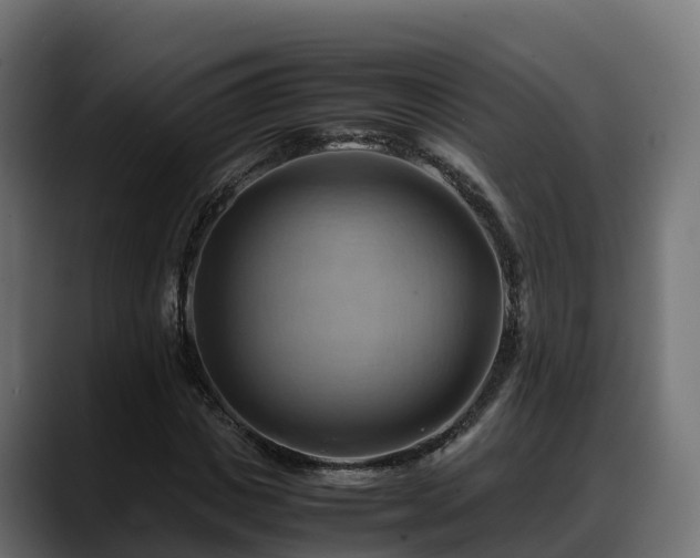 X0000088370825200705291325