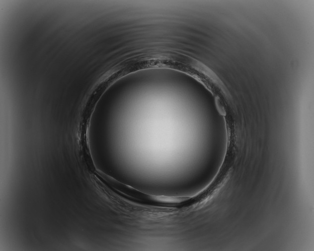 X0000088370826200705291326