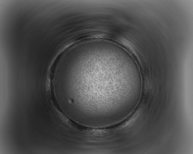X0000088370827200705291326