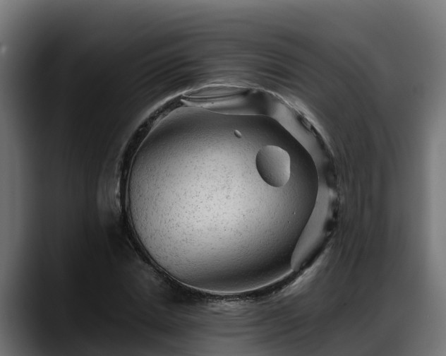 X0000088370830200705291326