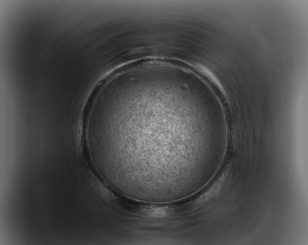 X0000088370831200705291326