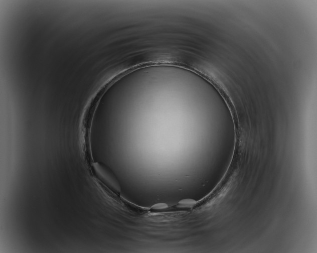 X0000088370835200705291326