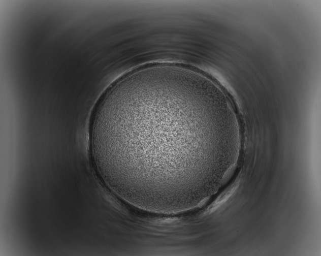 X0000088370837200705291326