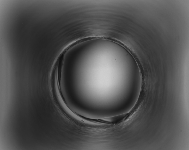 X0000088370838200705291326