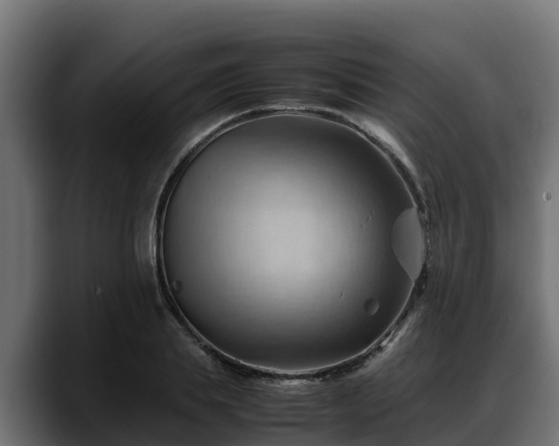 X0000088370839200705291326