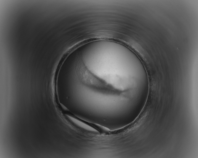 X0000088370840200705291326