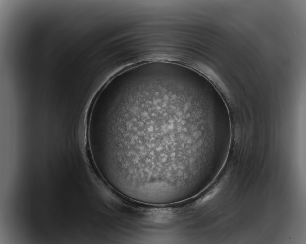 X0000088370844200705291326
