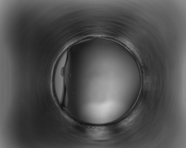 X0000088370845200705291326