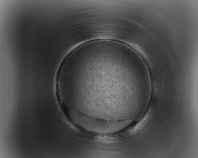 X0000088370846200705291326