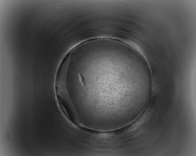 X0000088370847200705291326