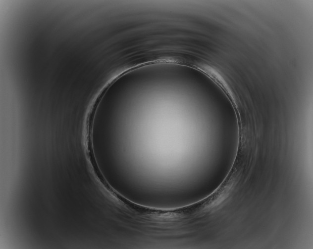 X0000088370851200705291326