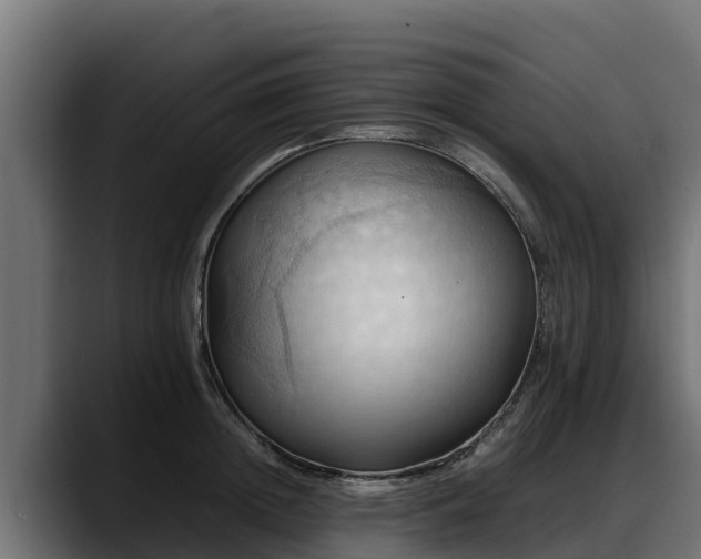 X0000088370852200705291326