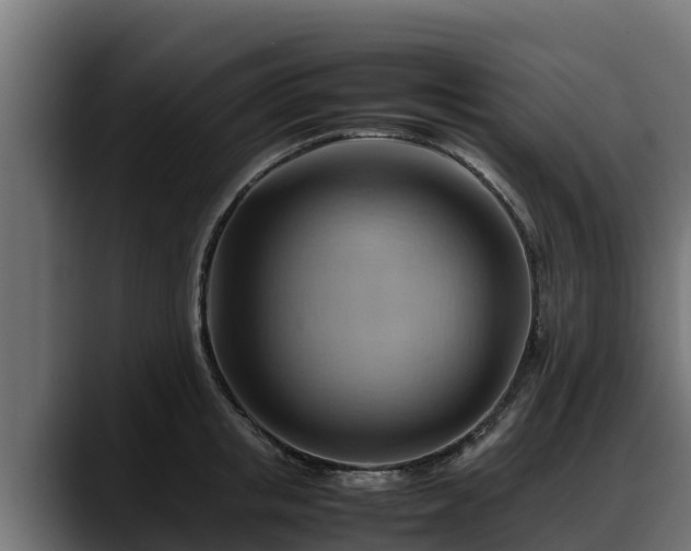 X0000088370853200705291326