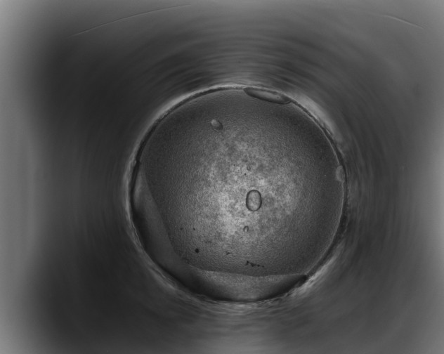 X0000088370854200705291326