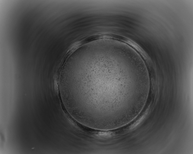 X0000088370857200705291326