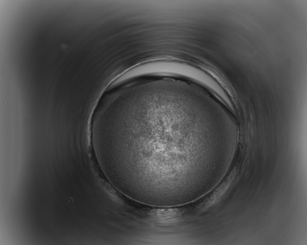 X0000088370858200705291326
