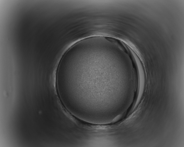 X0000088370862200705291326