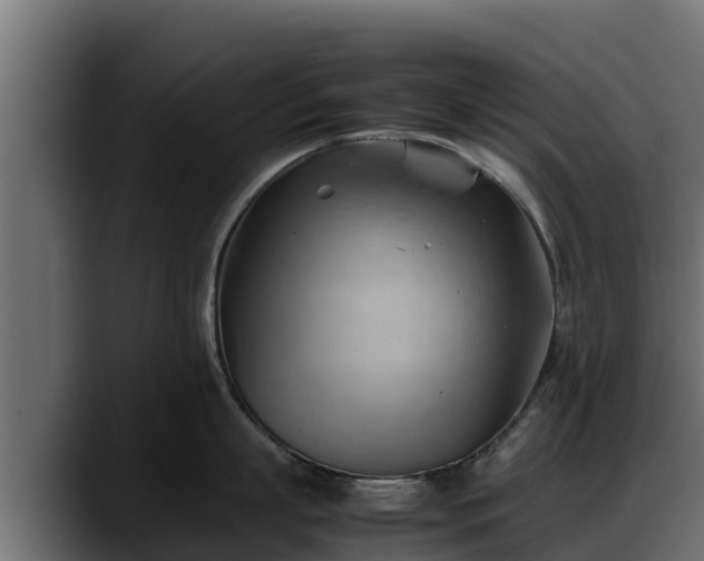X0000088370863200705291326